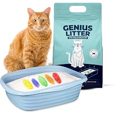 Petisfy Smart Health Cat Litter (2-Pack) + Free Gift
